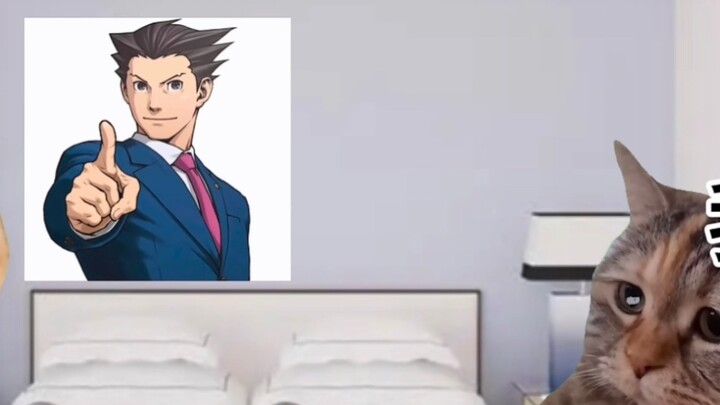 [Meme kucing] Kasus gerontofilia paling serius (mengandung elemen jejak Yu Chenghua, harap berhati-h