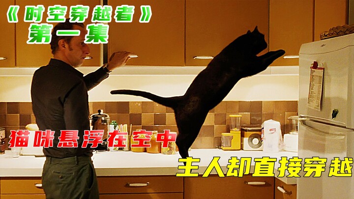 Kucing itu melayang di udara, tetapi sang pemilik justru secara tak terduga terlempar kembali ke zam