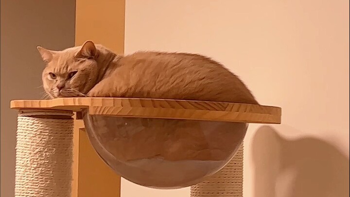 ไม่ได้กินข้าวมา 3 นาทีแล้ว ไปหาที่เด่นๆ นั่งบึ้งตึงให้แม่เดาเอาเองเลย!