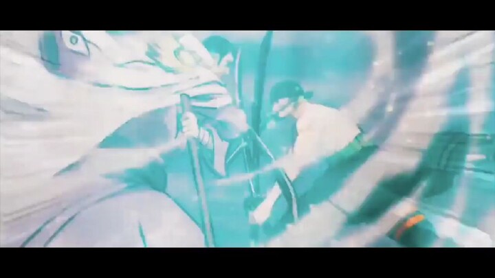 zoro vs fujitora