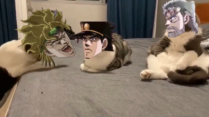 jojo的奇妙冒险 猫猫版