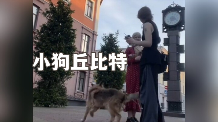 If this isn't destiny, then what on earth could it be！！！！！