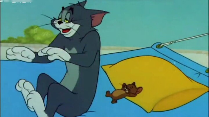 [Cat's Original Color] YOASOBI & Tom and Jerry Ultramarine 4th Edition