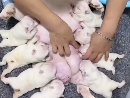 Bagaimana jika punya anak lagi?
