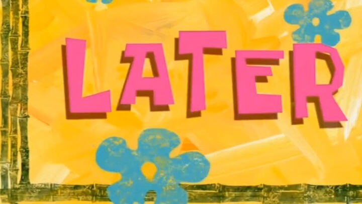 【Cat meme】About the incident where Ms. Fengchu lost everything in the hospital...