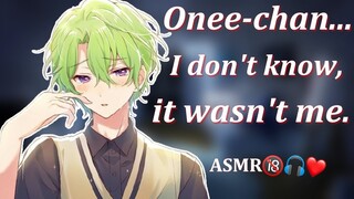 (ENG SUBS)R-18 Onee-chan It Wasn't Me... [ASMR Japanese]