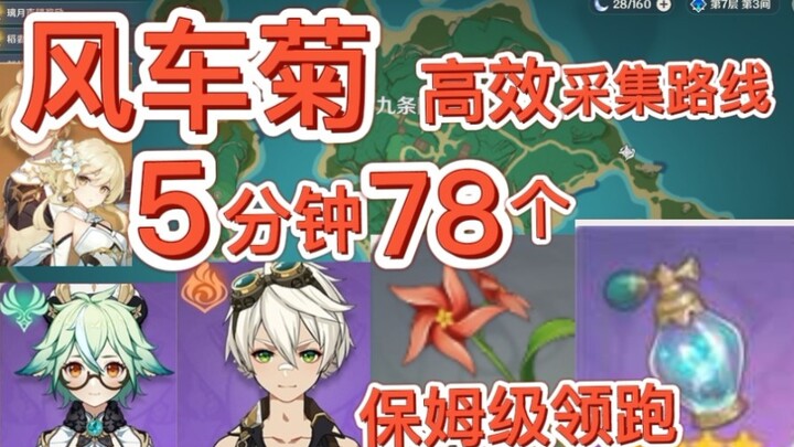 [Genshin Impact Bunga Daisi] 78 buah dalam 5 menit!! Kumpulkan semua! Rute pengumpulan bunga daisi p
