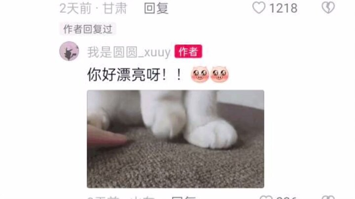 "Cô gái ơi, bạn thật xinh đẹp" "Cô ấy xinh hơn bạn" "Cười quá đi mất"