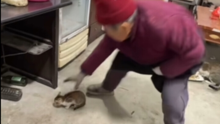 Nenek ini gerakannya sangat lincah.