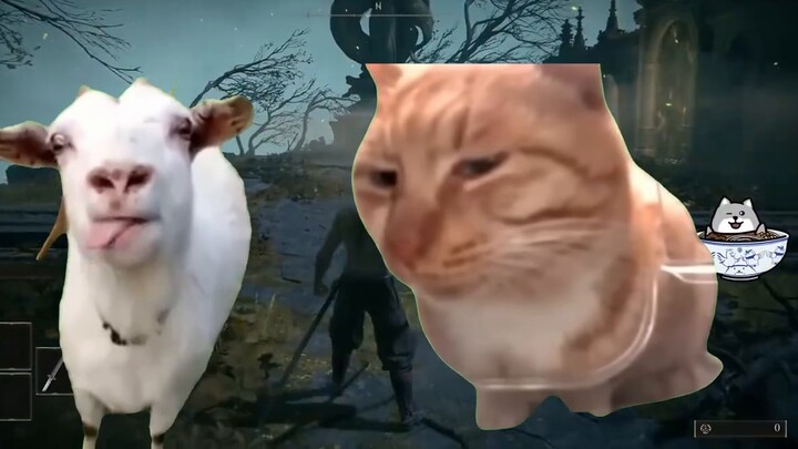 【Quin】meme speed pass wolf road
