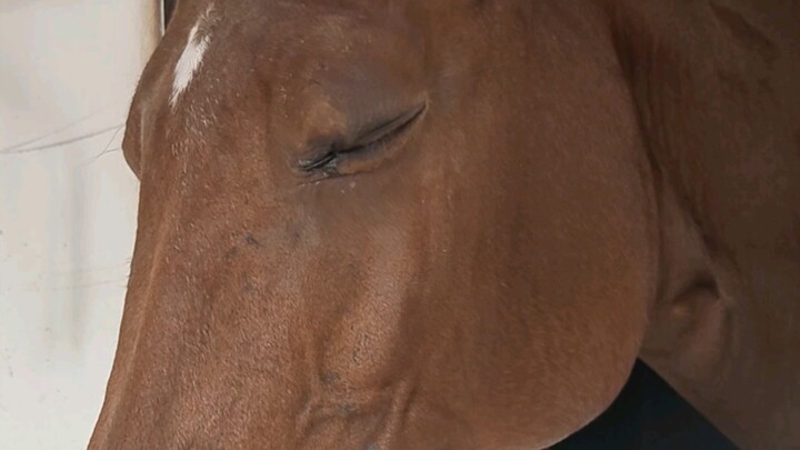 مُتعب لدرجة أن عينيّ لا تستطيعان أن تفتحا، لكنني ما زلت أريد أن أقبّلك.