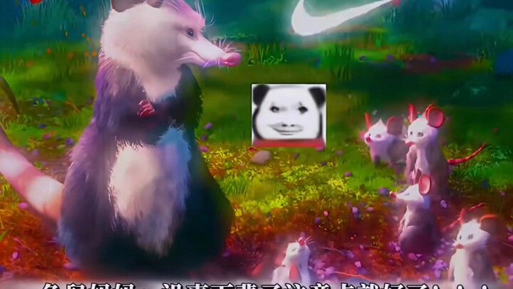 Có thể thấy mẹ chuột opossum thực sự muốn bớt mang theo vài đứa con