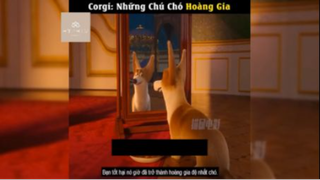 Tóm tắt phim: Corgi - những chú chó hoàng gia p3 #reviewphimhay