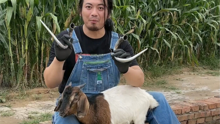In order to protect the lamb from being bullied by the dog, a pair of stainless steel horns were mad