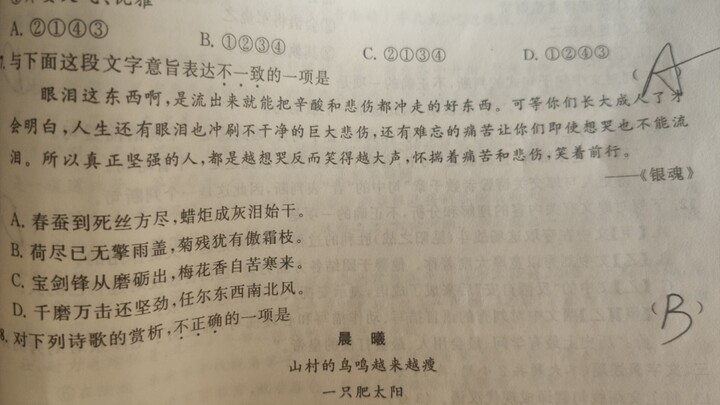 语文作业上竟出现银魂金句之一