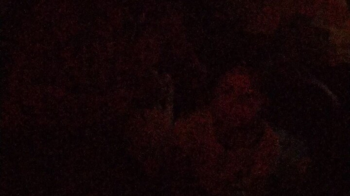 หลานสาว