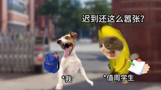 当你以为自己有点小聪明时