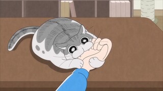 Love mark! Cats are too direct