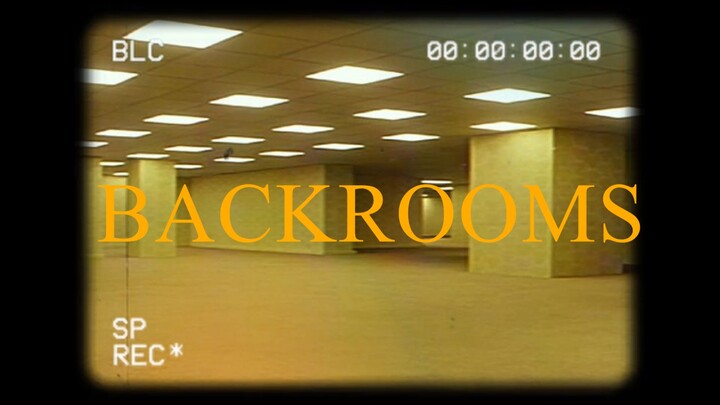 We fell into the Backrooms!!