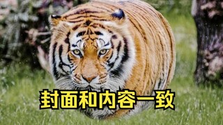 虚拟主播成年后直播换牙