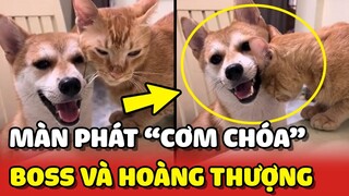 Màn phát "CƠM CHÓA" của Boss và Hoàng Thượng khiến Sen MỆT MỎI 😂 | Yêu Lu