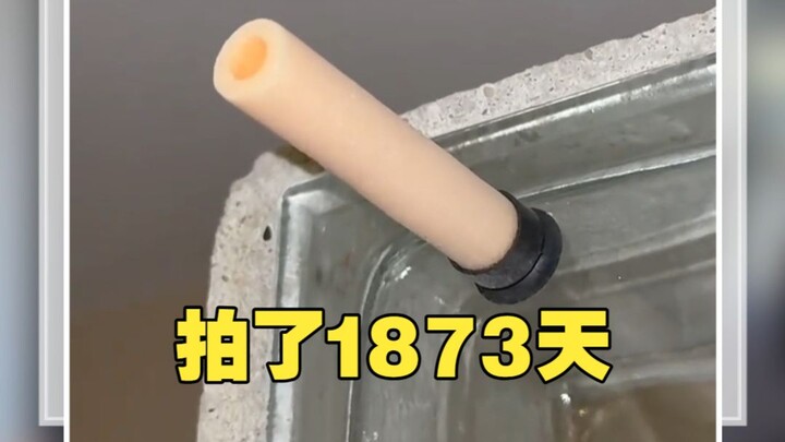 He filmed for 1,873 days just to wait for this dart to drop!