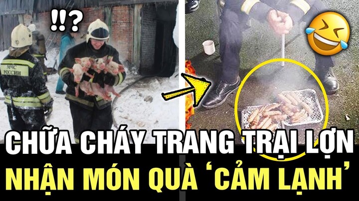 Quên mình giải cứu TRANG TRAI LỢN, đến khi gia chủ cảm ơn thì CẠN LỜI với món quà CẢM LẠNH | TÁM TV