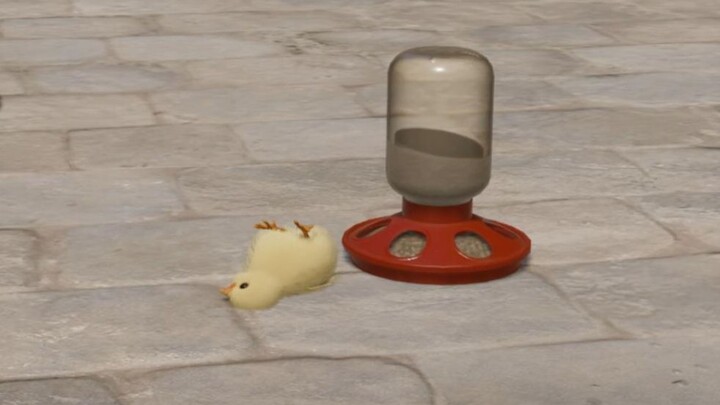 Cyber Pet TV: The Cutest Chick in the Observable Universe