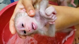 Routine Bathing!! Tiny adorable Luca crying loudly refuse Mom to take a bath for him