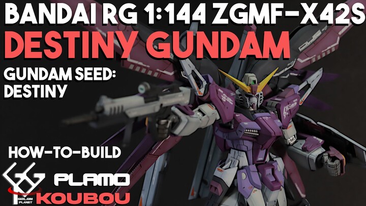 How to Build Gunpla | Bandai RG 1:144 Destiny Gundam Custom | Purple Destiny