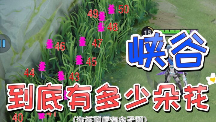 Do you know how many flowers there are in the Rift in total???
