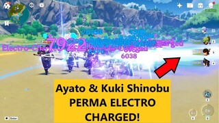 AYATO and C6 Kuki Shinobu, Yunjin, Beidou PERMA ELECTRO CHARGED!! GAMEplay