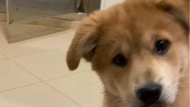 A Polite Kid Eats a Meal