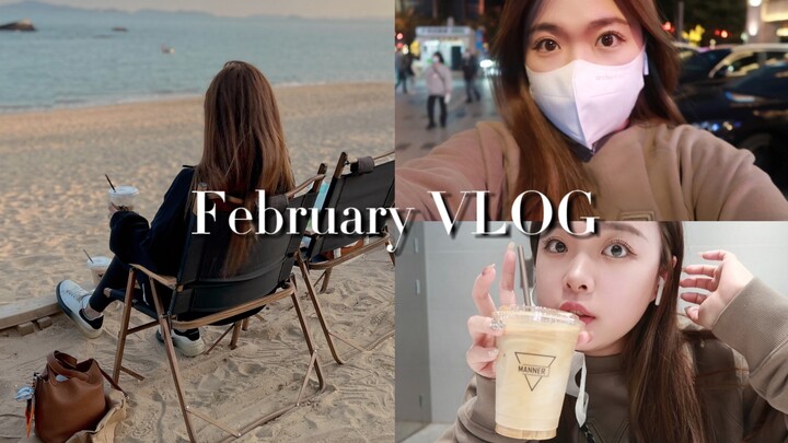 VLOG|Thói quen hàng ngày tháng 2: Khoảnh khắc vui vẻ ở Hạ Môn | Cà phê bên bờ biển | Bữa ăn tụ tập c