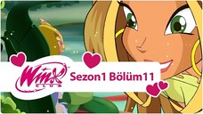 Winx Club - Sezon 1 Bölüm 11 - Canavar ve Söğüt Ağacı