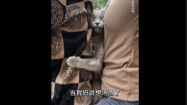Tangyuan: This train home for the holiday is way too crowded—no way, I’ll just wait for the next one