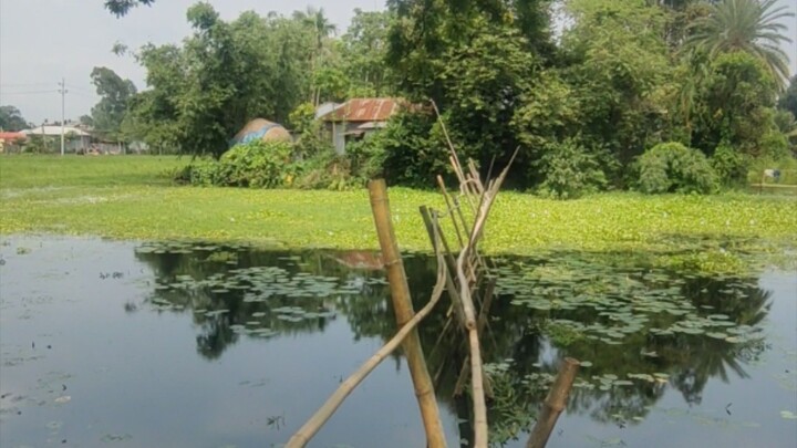 পথ হারাবো বলেই এবার covered song