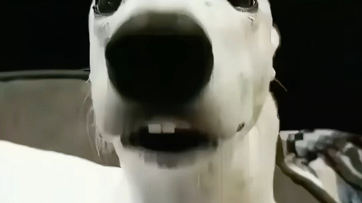 The current score is shaking with fear!