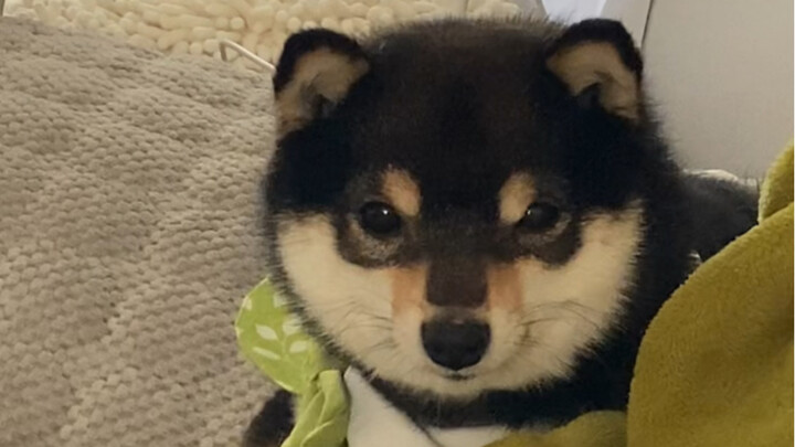 إذا أعجبتك، اعترف بجرأة!