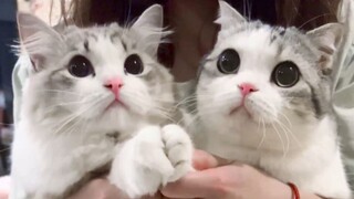 ความสัมพันธ์แบบพี่น้องมันไม่โอเค!
