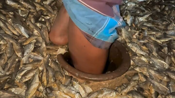 চ্যাপা শুটকি তৈরির আসল প্রক্রিয়া দেখুন!