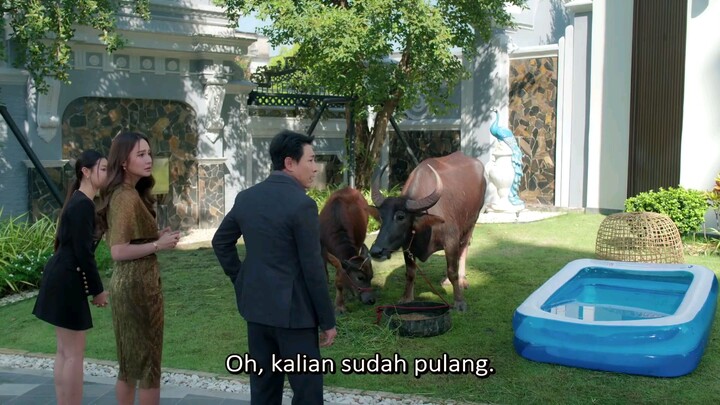 Romansa cinta pedesaan eps 8 End