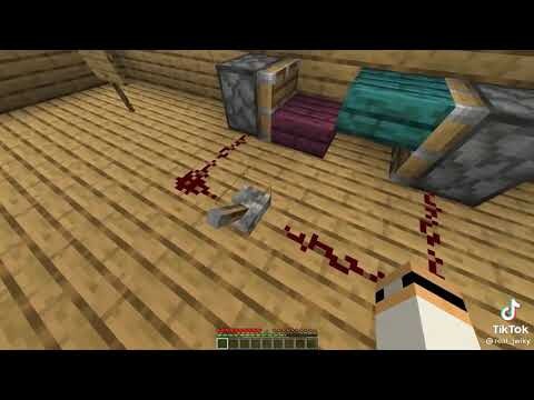 Minecraft Tiktok
