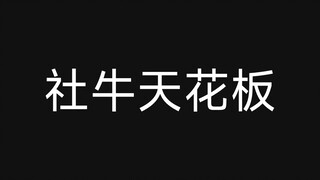 【 社 牛 天 花 板 】