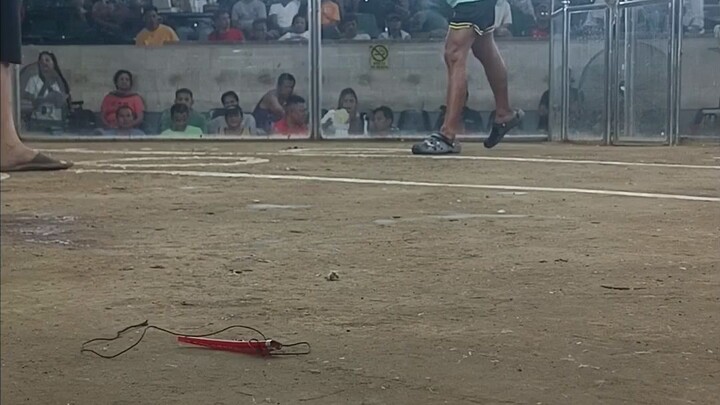 Lupaypay Ang alimbuyogin