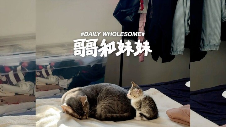 某天，他就这样接纳了自己有个小妹妹这件事 ❤️🥹