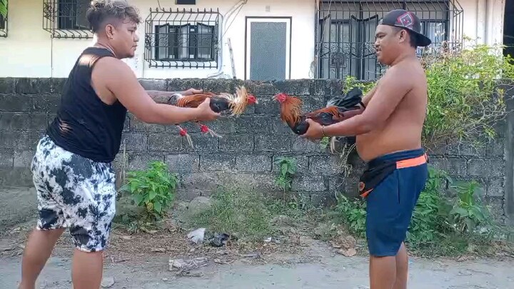 super mamalo