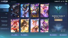 Skin Mobile legend bang bang yang saya miliki