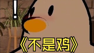 不是鸡（哔---）