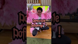 #doflamingo